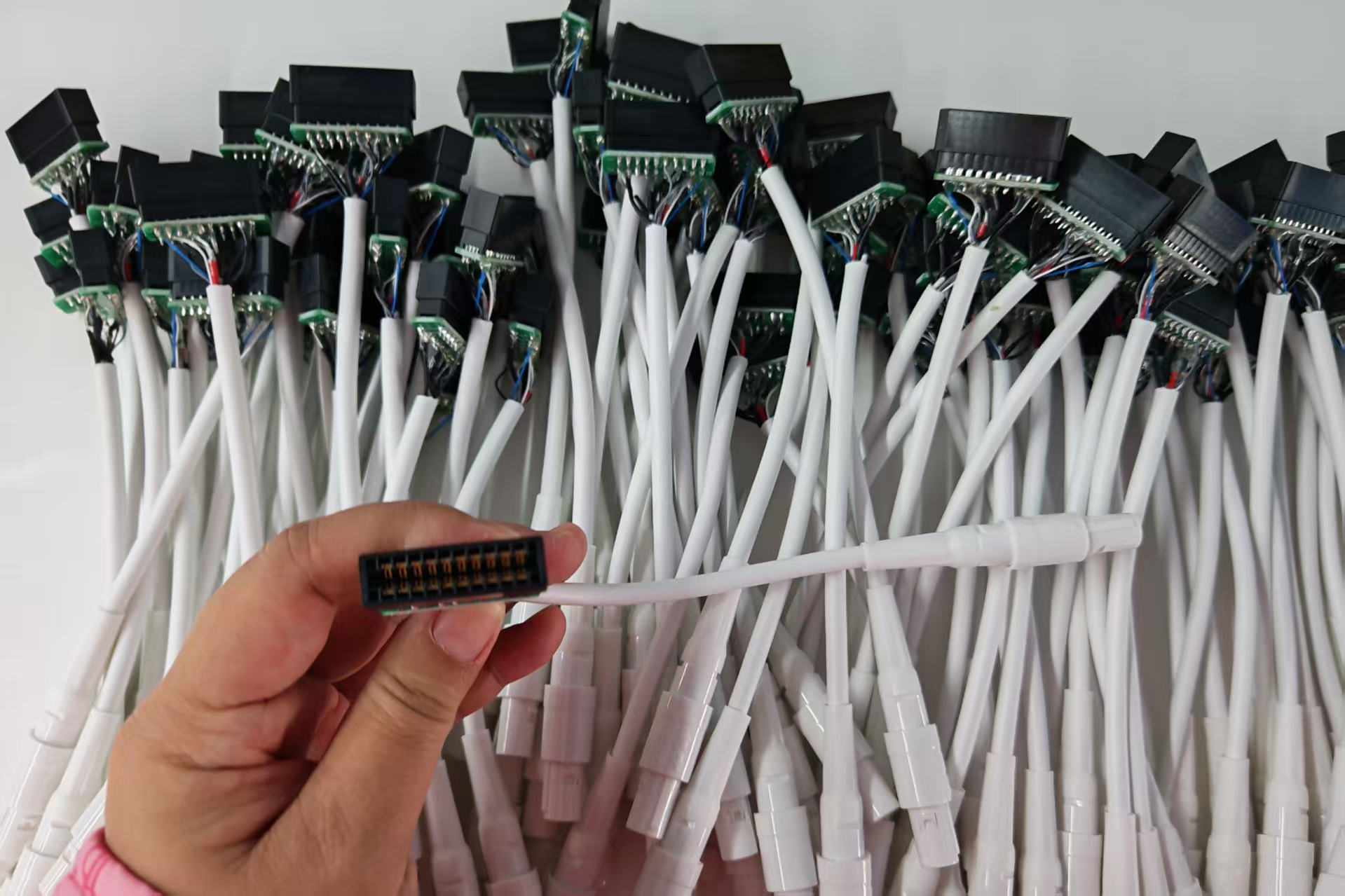 Variations in M12 circular connector coding and pole counts for diverse industrial needs